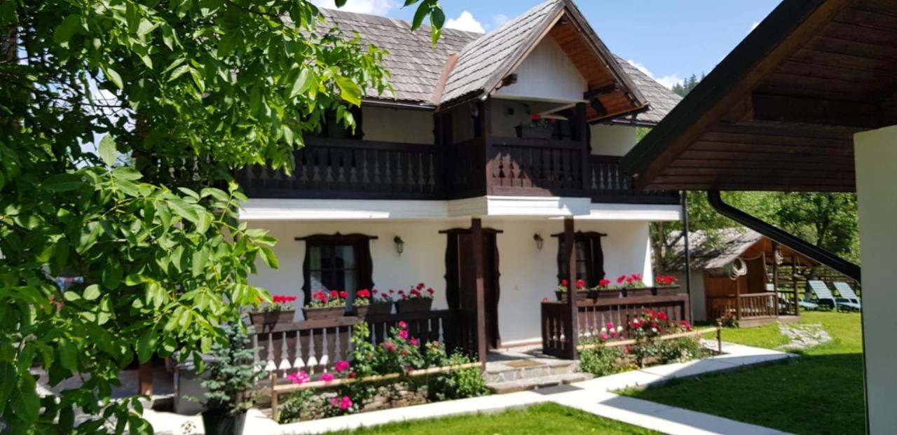 Pensiunea Bradet Brosteni Екстериор снимка